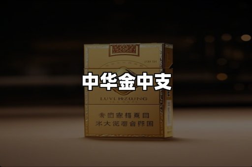 中华金中支